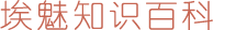 埃魅知识百科